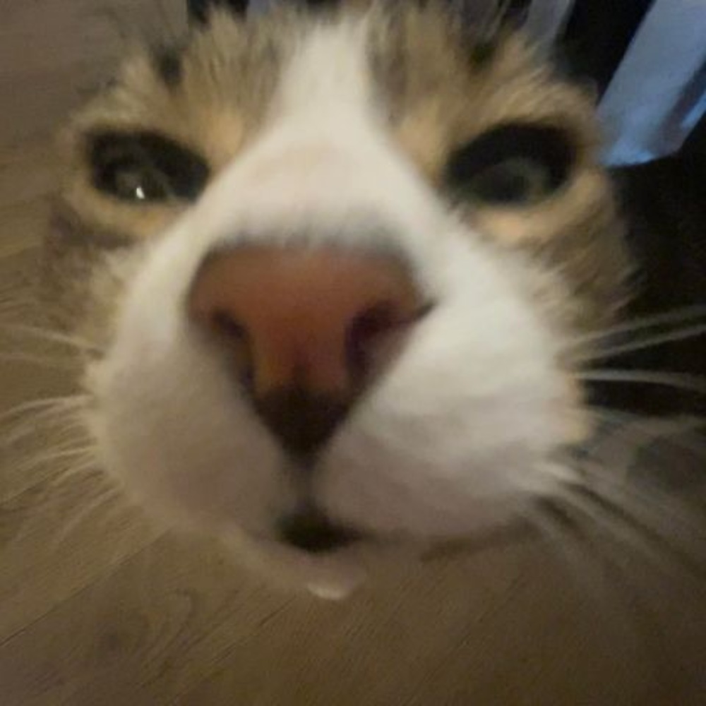 Meet your Posher, Lynn